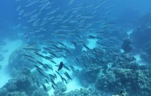 Galeria z wyjazdu do Safagi 2019