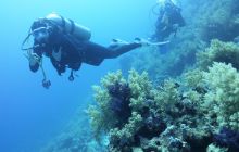 Galeria z wyjazdu do Safagi 2019