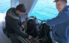 Galeria z wyjazdu do Safagi 2019