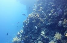 Galeria z wyjazdu do Safagi 2019