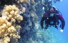 Galeria z wyjazdu do Safagi 2019