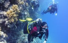 Galeria z wyjazdu do Safagi 2019