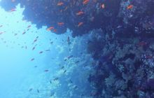 Galeria z wyjazdu do Safagi 2019