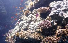 Galeria z wyjazdu do Safagi 2019