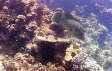 Galeria z wyjazdu do Safagi 2019