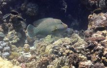 Galeria z wyjazdu do Safagi 2019