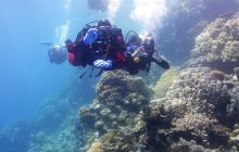 Galeria z wyjazdu do Safagi 2019