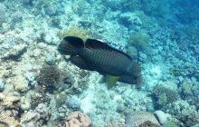 Galeria z wyjazdu do Safagi 2019