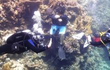 Galeria z wyjazdu do Safagi 2019