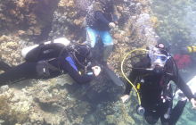 Galeria z wyjazdu do Safagi 2019