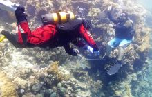 Galeria z wyjazdu do Safagi 2019