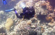 Galeria z wyjazdu do Safagi 2019