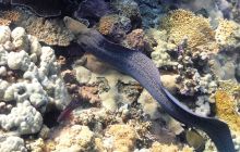 Galeria z wyjazdu do Safagi 2019