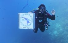 Galeria z wyjazdu do Safagi 2019