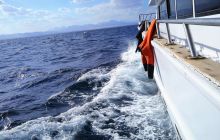 Galeria z wyjazdu do Safagi 2019