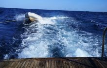 Galeria z wyjazdu do Safagi 2019