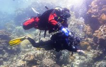 Galeria z wyjazdu do Safagi 2019