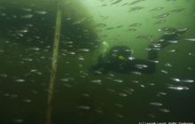 Deep Diver Training