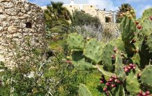 Zdjęcia z wyjazdu na Gozo - Malta