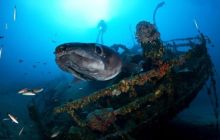 Wyjazd Nurkowy do Chorwacji - wyspa VIS