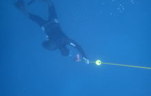 Upgrade Freediving Level 1