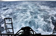 Zdjęcia z wyprawy na Socorro