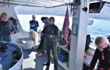 Zdjęcia z wyprawy na Socorro