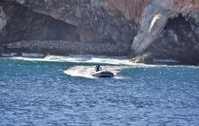 Zdjęcia z wyprawy na Socorro