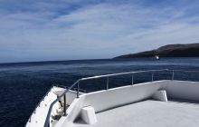 Zdjęcia z wyprawy na Socorro