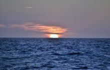 Zdjęcia z wyprawy na Socorro