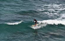 Zdjęcia z wyprawy na Socorro