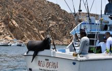 Zdjęcia z wyprawy na Socorro