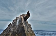 Zdjęcia z wyprawy na Socorro