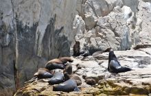 Zdjęcia z wyprawy na Socorro