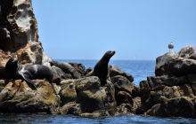 Zdjęcia z wyprawy na Socorro