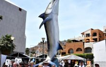 Zdjęcia z wyprawy na Socorro