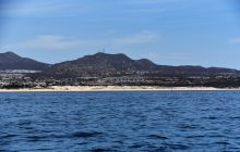 Zdjęcia z wyprawy na Socorro