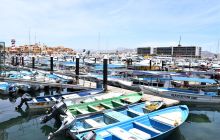 Zdjęcia z wyprawy na Socorro