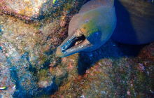 Zdjęcia z wyprawy na Socorro