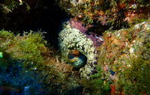 Zdjęcia z wyprawy na Socorro