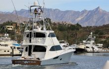 Zdjęcia z wyprawy na Socorro