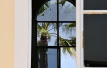 Zdjęcia z wyprawy na Socorro