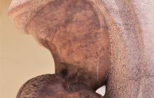 Zdjęcia z wyprawy na Socorro