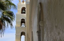 Zdjęcia z wyprawy na Socorro