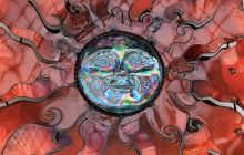 Zdjęcia z wyprawy na Socorro