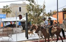 Zdjęcia z wyprawy na Socorro