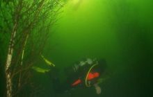 Wyjazd na jezioro Insko i tajemnice Bornego Sulinowa