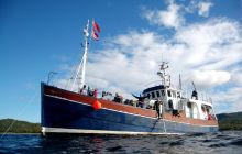 Nurkowanie wrakowe Narvik Turnus I