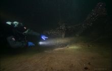 Wypłynięcie na GEORG BUCHNER Dwa nurkowania