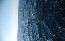 Wyjazaz Na wrak Heweliusza i Bornholm